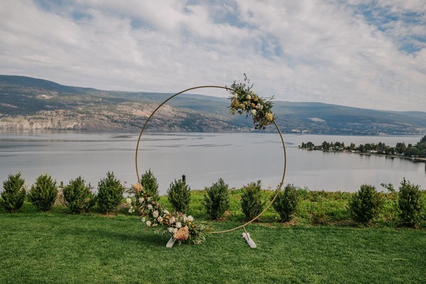 Vows & Vines Vineyard