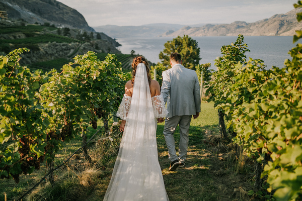 Vows & Vines Vineyard