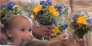 Vecc Videography - Kingston - Albany