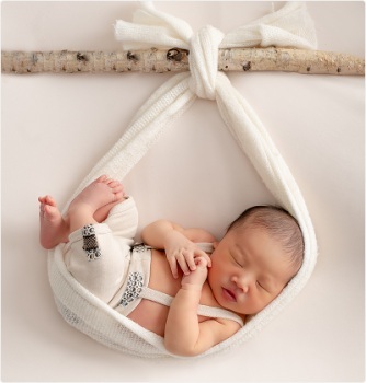 Magnolia Coasts Photography