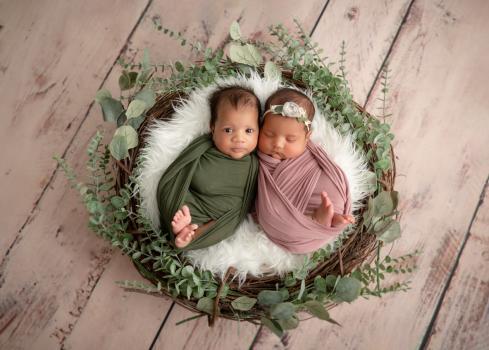 Magnolia Coasts Photography