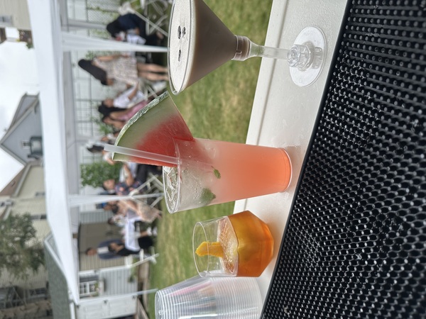 Roaming Spirits & Mixology LLC