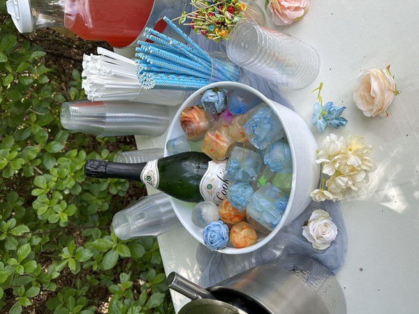 Roaming Spirits & Mixology LLC