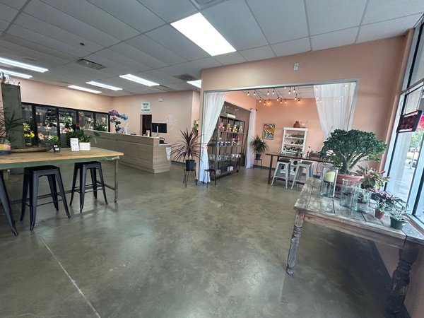 What's the Occasion Floral & More