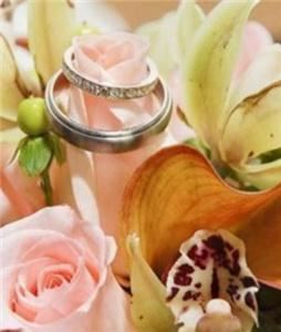 Myrtle Beach DJ's com