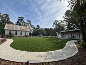 Turf Lawn