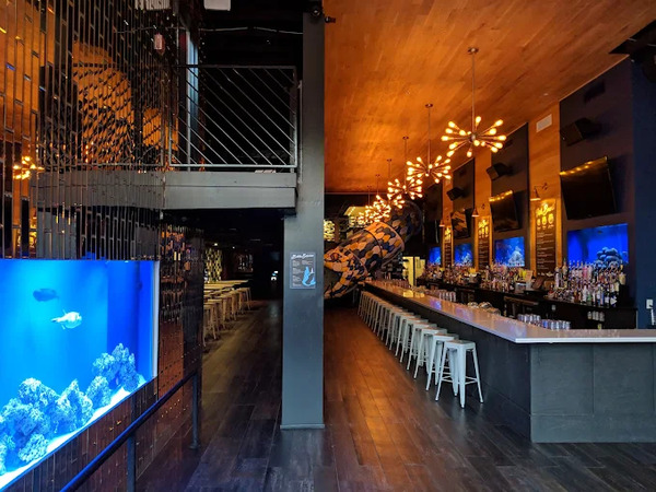 The Aquarium on 6th