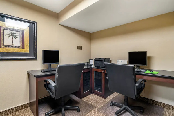 Comfort Inn & Suites St. Pete Clearwater Airport