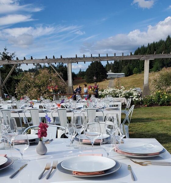 Saffron Fields Vineyard