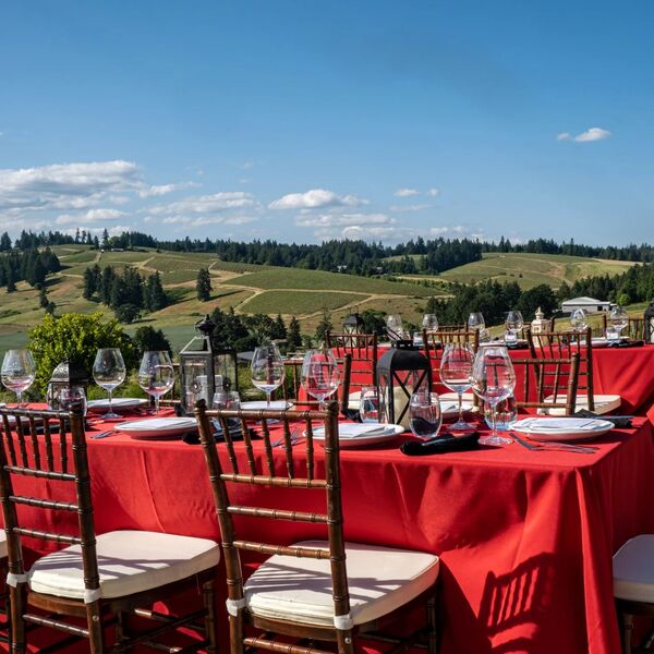 Saffron Fields Vineyard