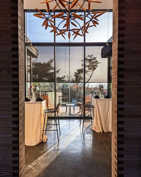 Saffron Fields Vineyard