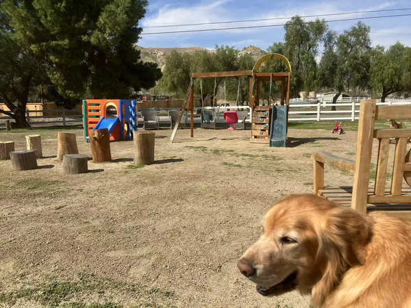 Sunny Canyon Ranch Events