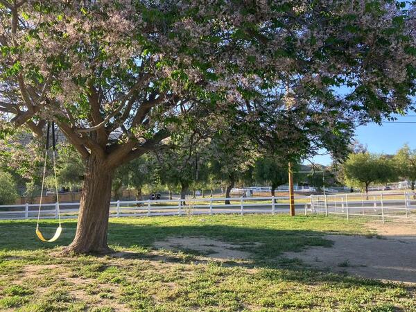 Sunny Canyon Ranch Events