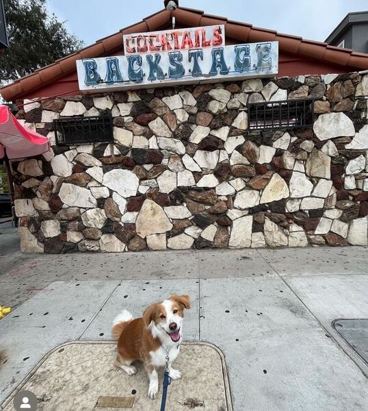 Backstage Bar & Grill