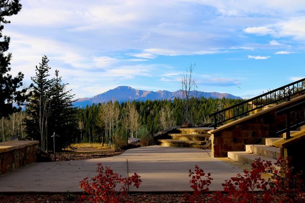 Sharlene Heights Weddings and Events