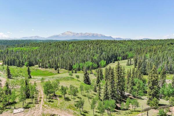 Sharlene Heights Weddings and Events