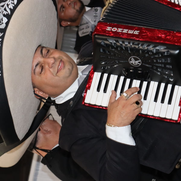 armando y su mariachi chapala