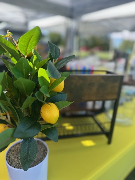 ChiTown Beverages, LLC