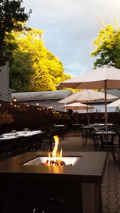 Outdoor Patio and Bar