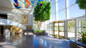 Nancy A. and J. Mason Wallace Atrium