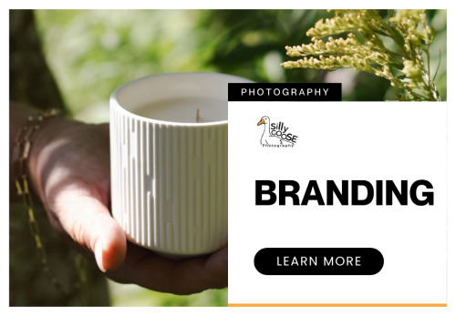 Silly Goose Photography