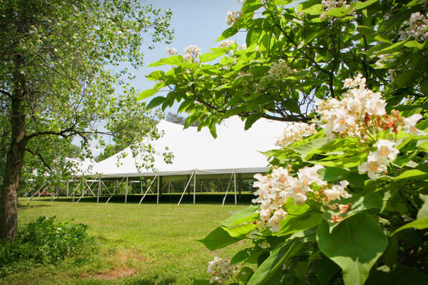 The United States National Arboretum