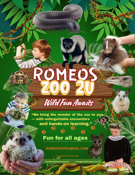 Romeos zoo 2u