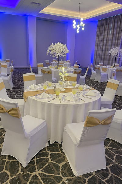 Embassy Suites by Hilton Tampa Airport Westshore