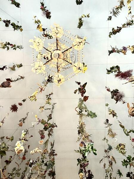 The Clove Art Complex