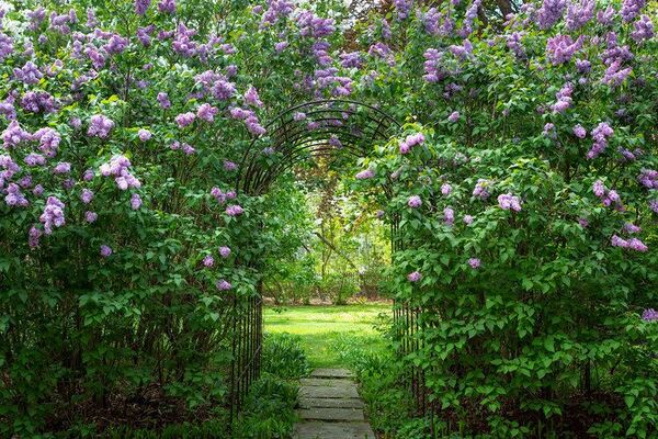 Corliss-Carrington House