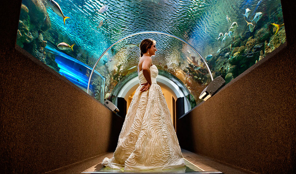 Bartolotta Catering at Discovery World