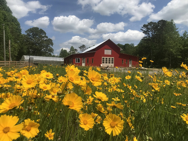Strawberry Roan Farm's Barn