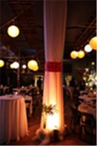 Aardvark Entertainment Network