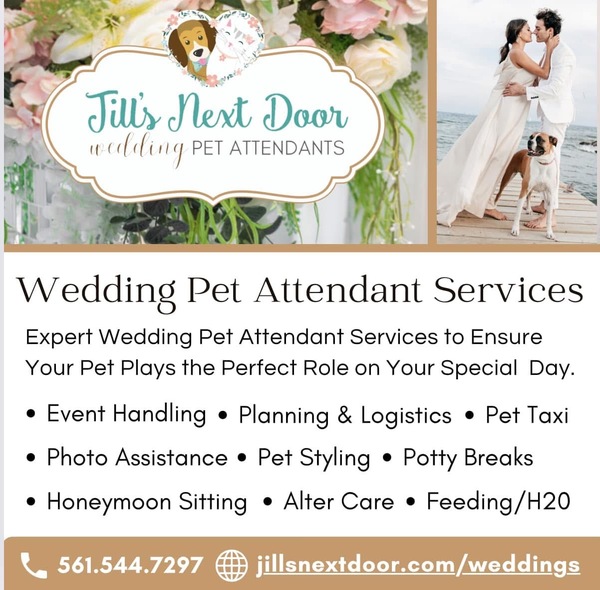 Jill’s Next Door Dog Walking & Pet Services, LLC