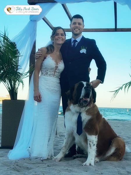 Jill’s Next Door Dog Walking & Pet Services, LLC