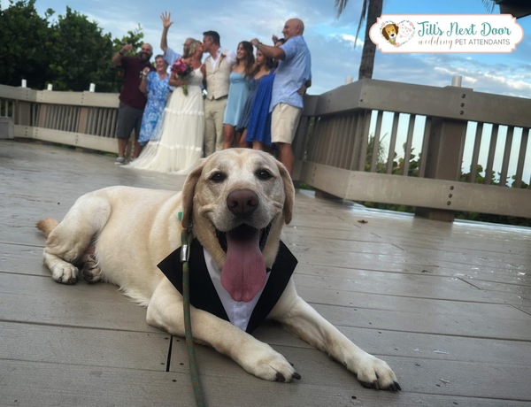 Jill’s Next Door Dog Walking & Pet Services, LLC