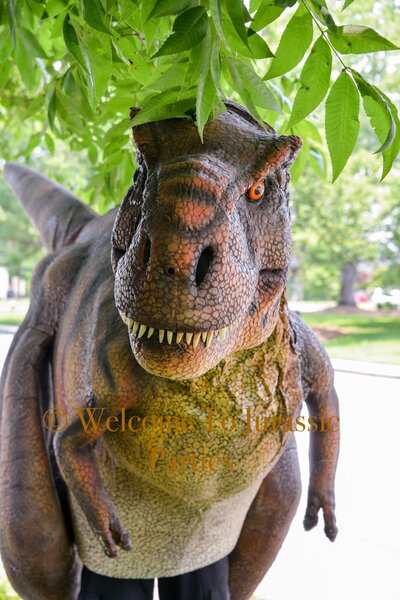 Welcome To Jurassic Parties