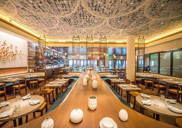 Pisco y Nazca - Kendall