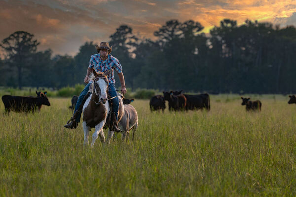 1890 Farmhouse and Pavilion