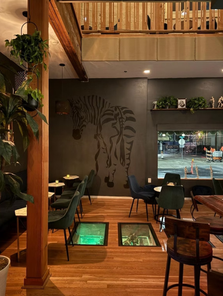 Unicorn Zebra Basement