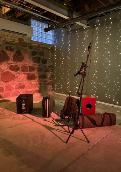 Unicorn Zebra Basement