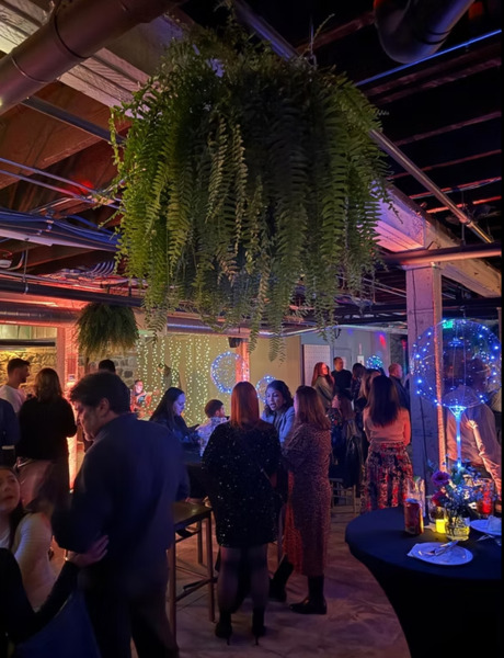 Unicorn Zebra Basement