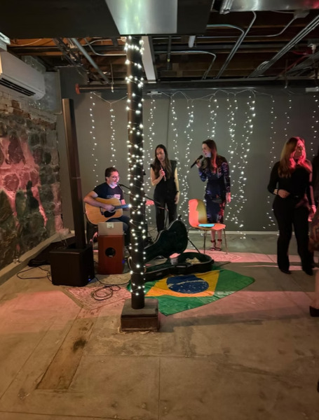 Unicorn Zebra Basement