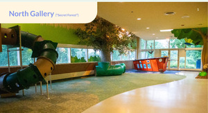 The Secret Forest (Kid Event Space)