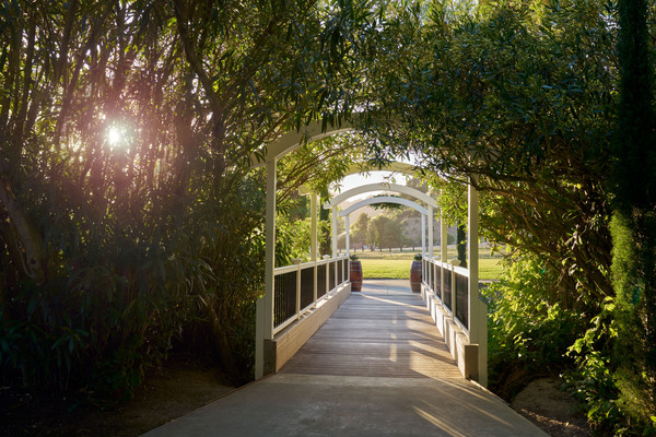 Redwood Canyon by Wedgewood Weddings