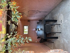 Outer Wing & Nest Patio