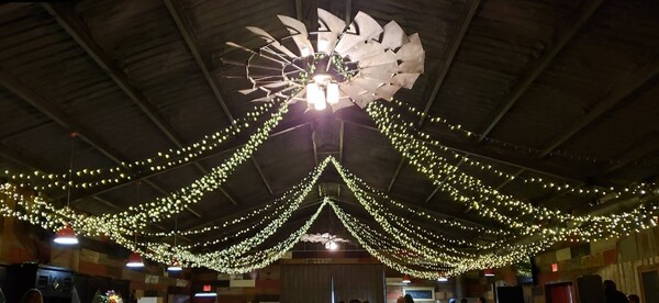 The Knotted Vineyard