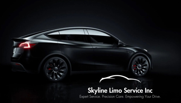skyline Limo Service Inc
