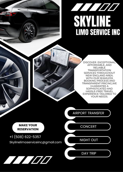skyline Limo Service Inc