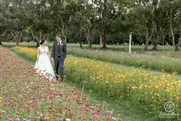 Ever After Farms Flower